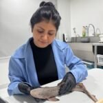 Squalab - Eleane Mori