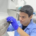 Squalab - Diego Alessandro Gonzales Marquez