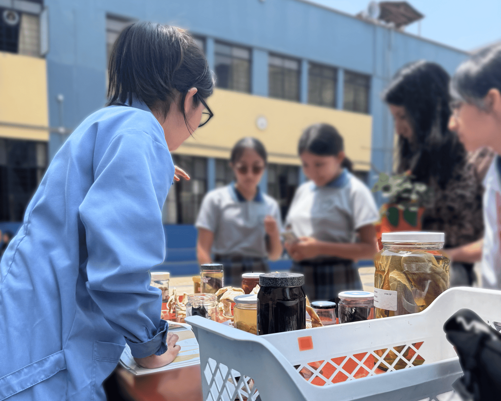 Actividades educativas en colegios - Squalab