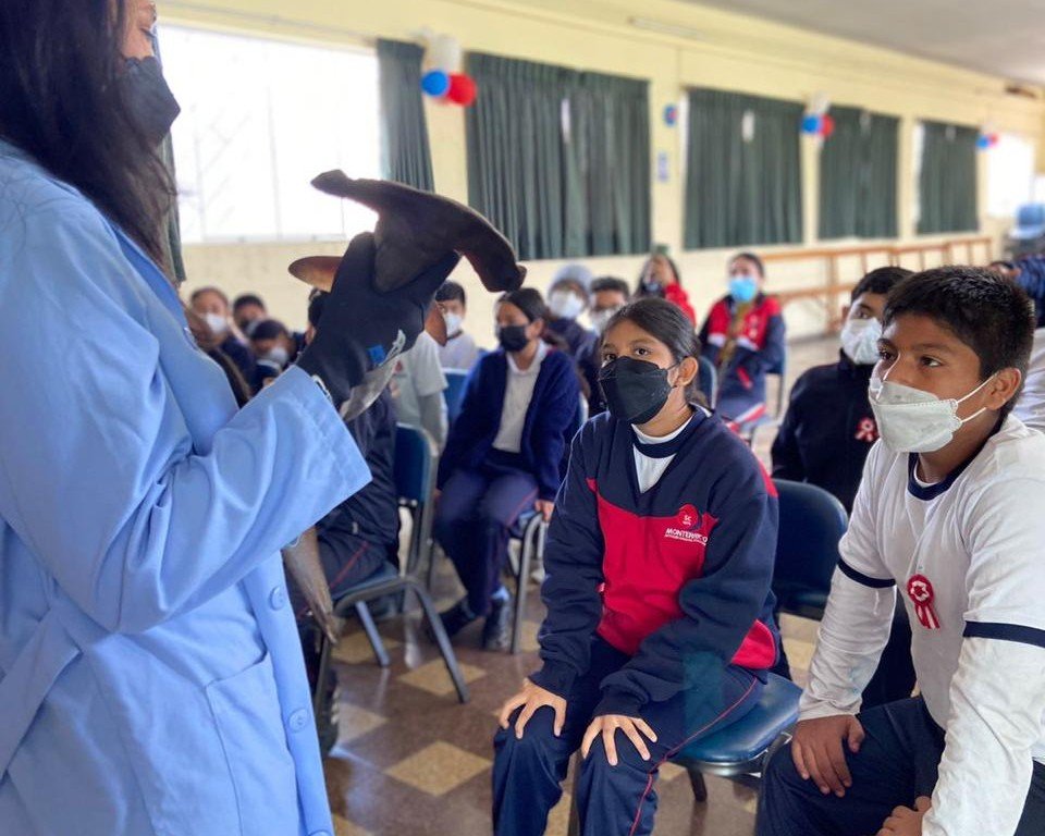Actividades educativas en colegios - Squalab