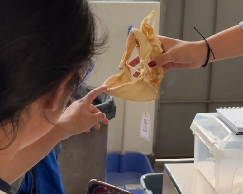 Actividades educativas en colegios - Squalab