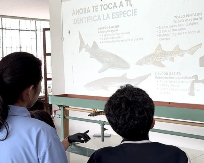 Actividades educativas en colegios - Squalab
