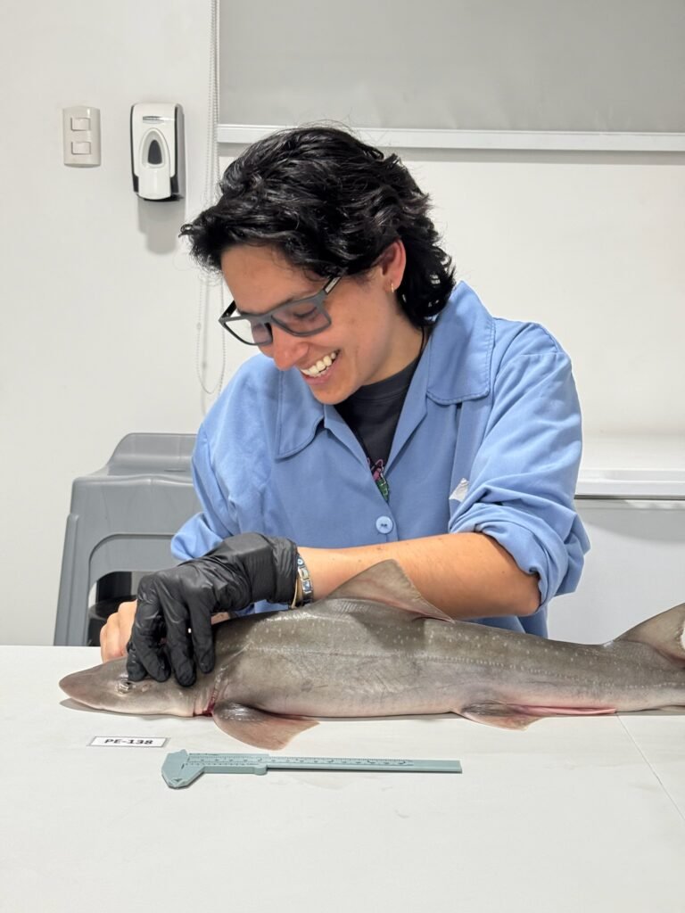 Squalab - Alexandra Echevarría