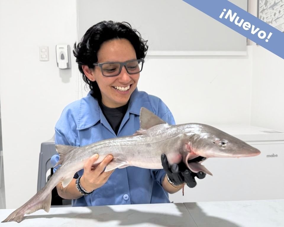 Talleres personalizados Squalab