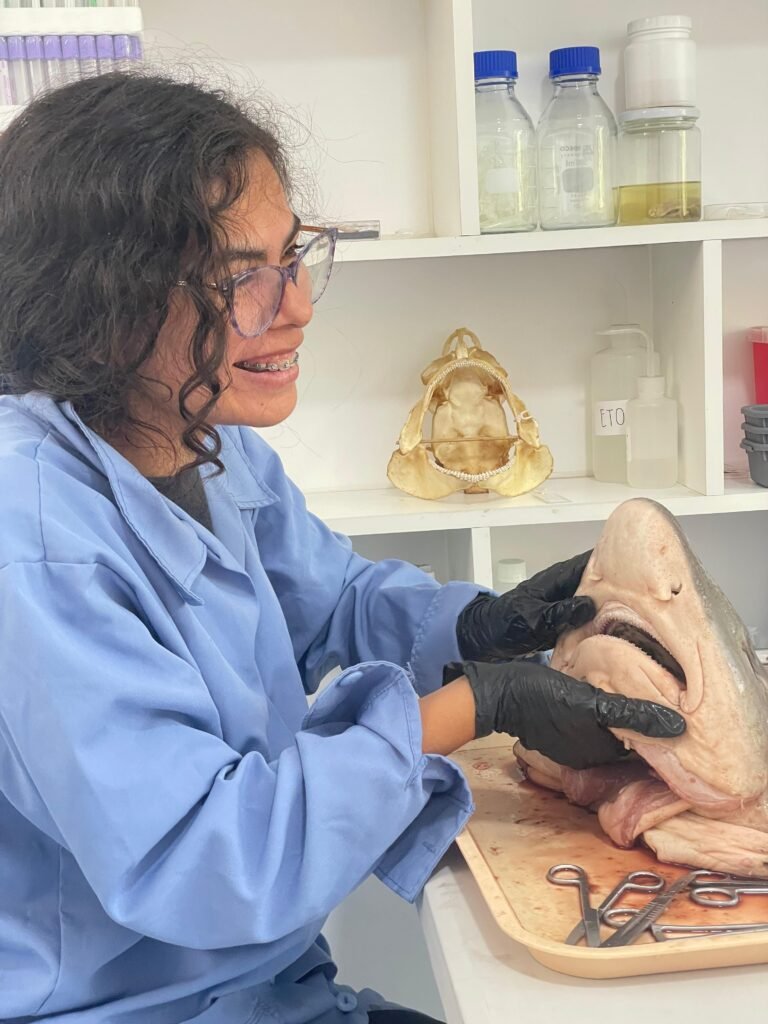 Squalab - Mariana Antonella Castillo Stagnaro