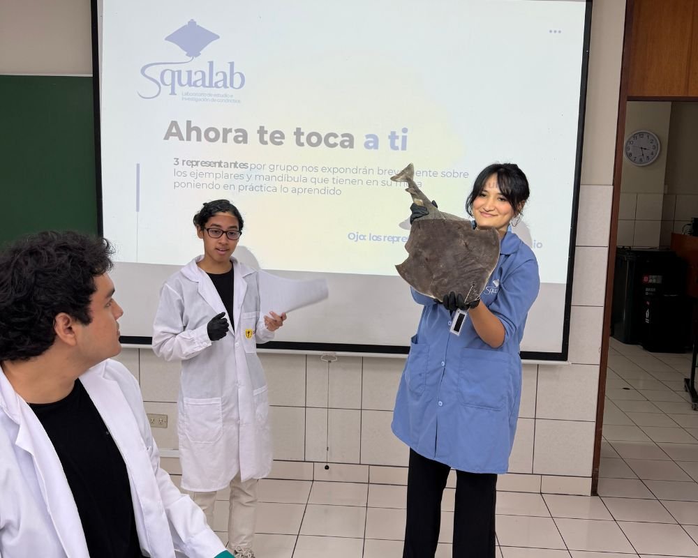 Divulgación Squalab