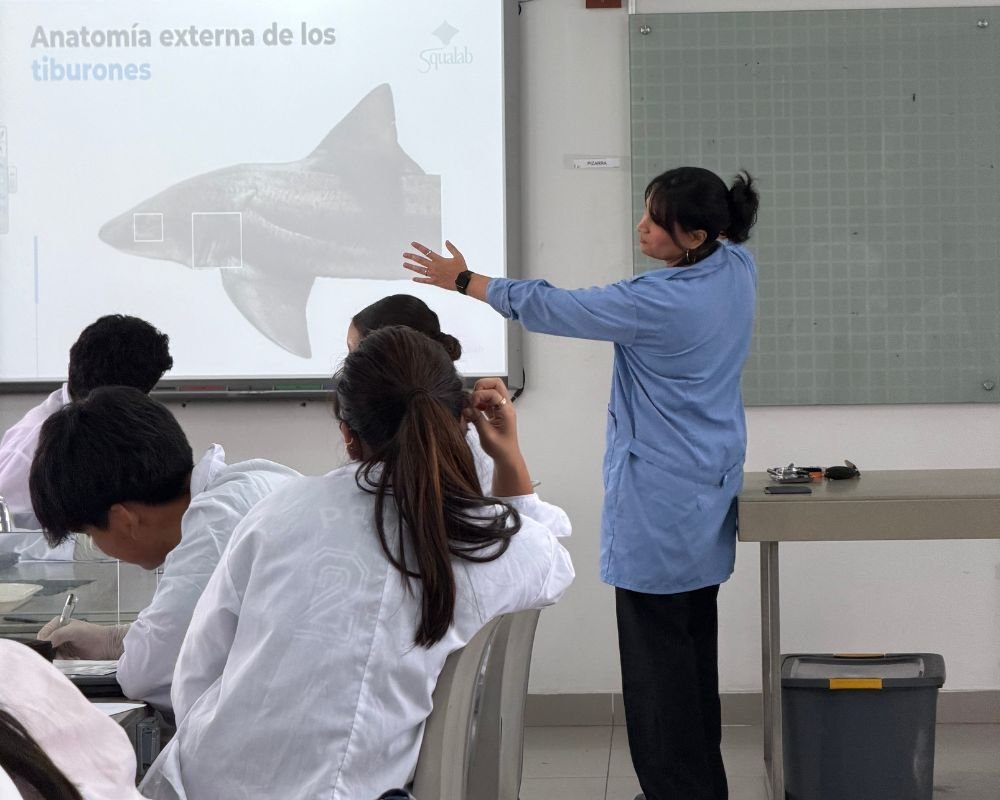Divulgación Squalab